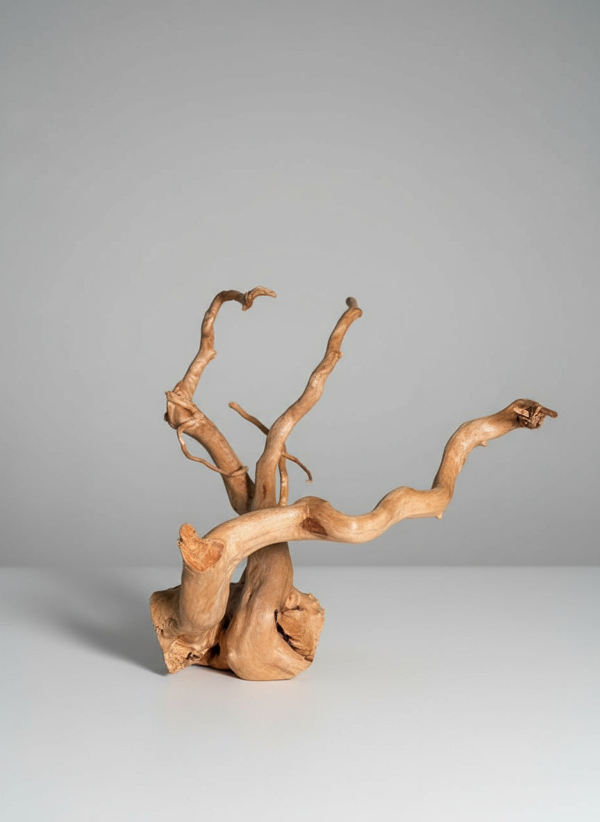 Driftwood Spiderwood Decoration – 37 cm x 32 cm