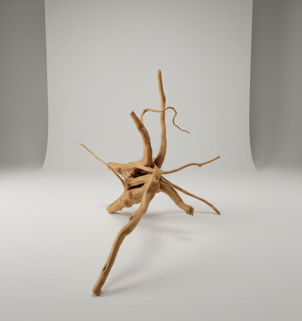 Driftwood Spiderwood Decoration – 46 x17 cm