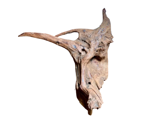 Most Beautiful driftwood for Aquarium 27 x 31 cm