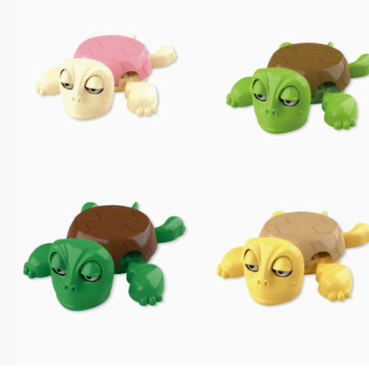 Funny Turtle Coaster Googly Eye-Popping