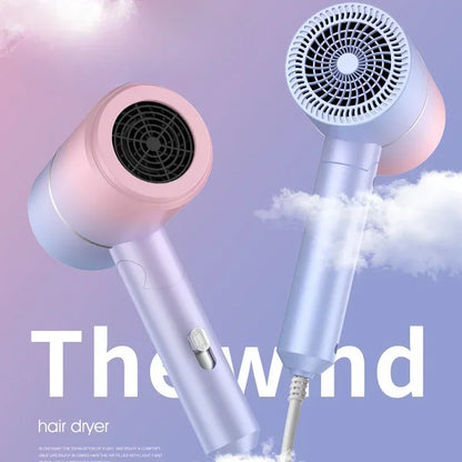 800W Folding Hair Dryer –  Anion Care