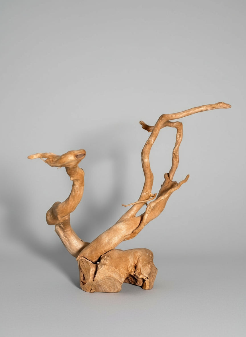 Driftwood Spiderwood Decoration – 37 cm x 32 cm