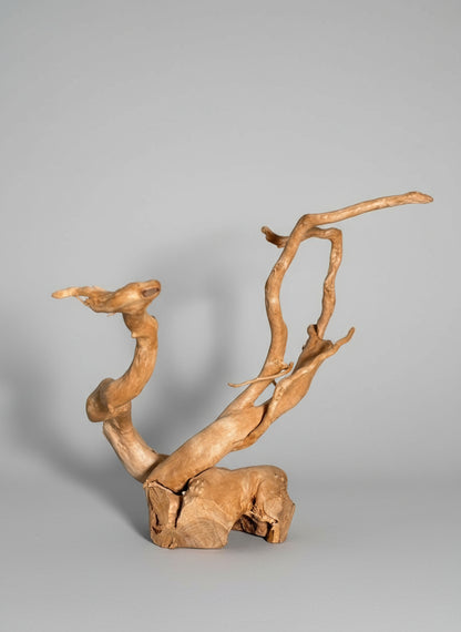 Driftwood Spiderwood Decoration – 37 cm x 32 cm