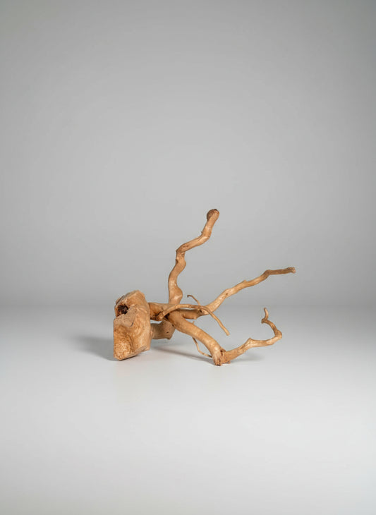 Driftwood Spiderwood Decoration – 37 cm x 32 cm