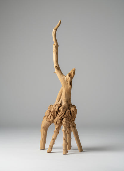 Driftwood Spiderwood Decoration – 36 x 15 cm