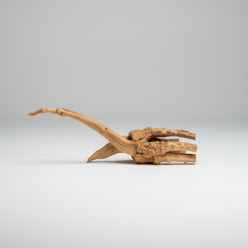 Driftwood Spiderwood Decoration – 36 x 15 cm