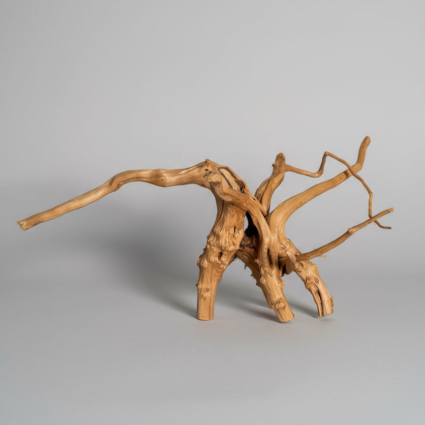 Driftwood Spiderwood Decoration – 46 x17 cm