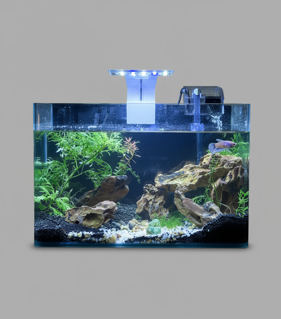 35 cm Planted Aquarium Rocks for Sale&nbsp;