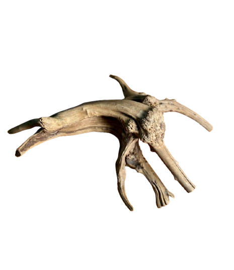 Natural Aquarium Driftwood Decoration