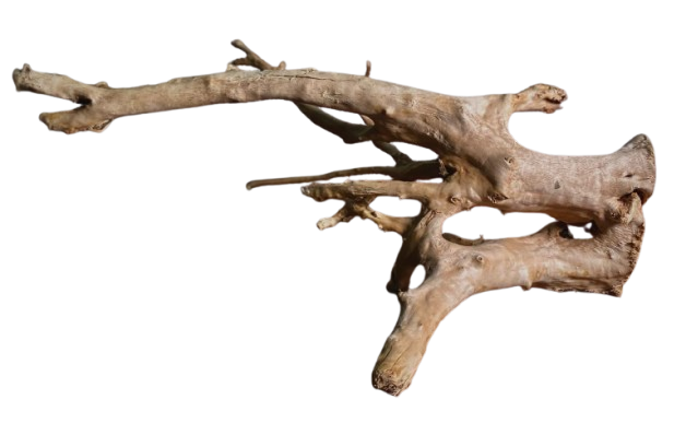 Long Natural Aquarium Driftwood Decoration