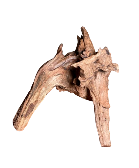 Big and Beautiful driftwood for Aquarium 29 x 22 cm