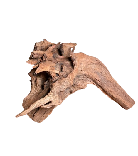 Big and Beautiful driftwood for Aquarium 29 x 22 cm