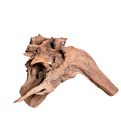 Big and Beautiful driftwood for Aquarium 29 x 22 cm