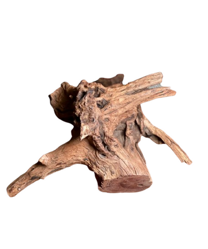 Big and Beautiful driftwood for Aquarium 29 x 22 cm