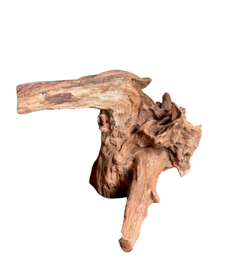 Big and Beautiful driftwood for Aquarium 29 x 22 cm