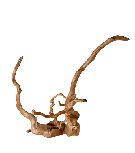 Long big Beautiful driftwood for Aquarium 43 x 25 cm