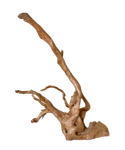 Long big Beautiful driftwood for Aquarium 43 x 25 cm