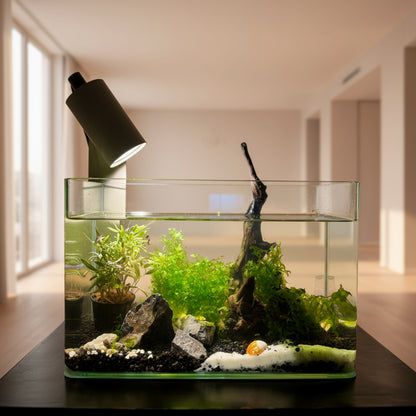 Customised Planted Aquariums